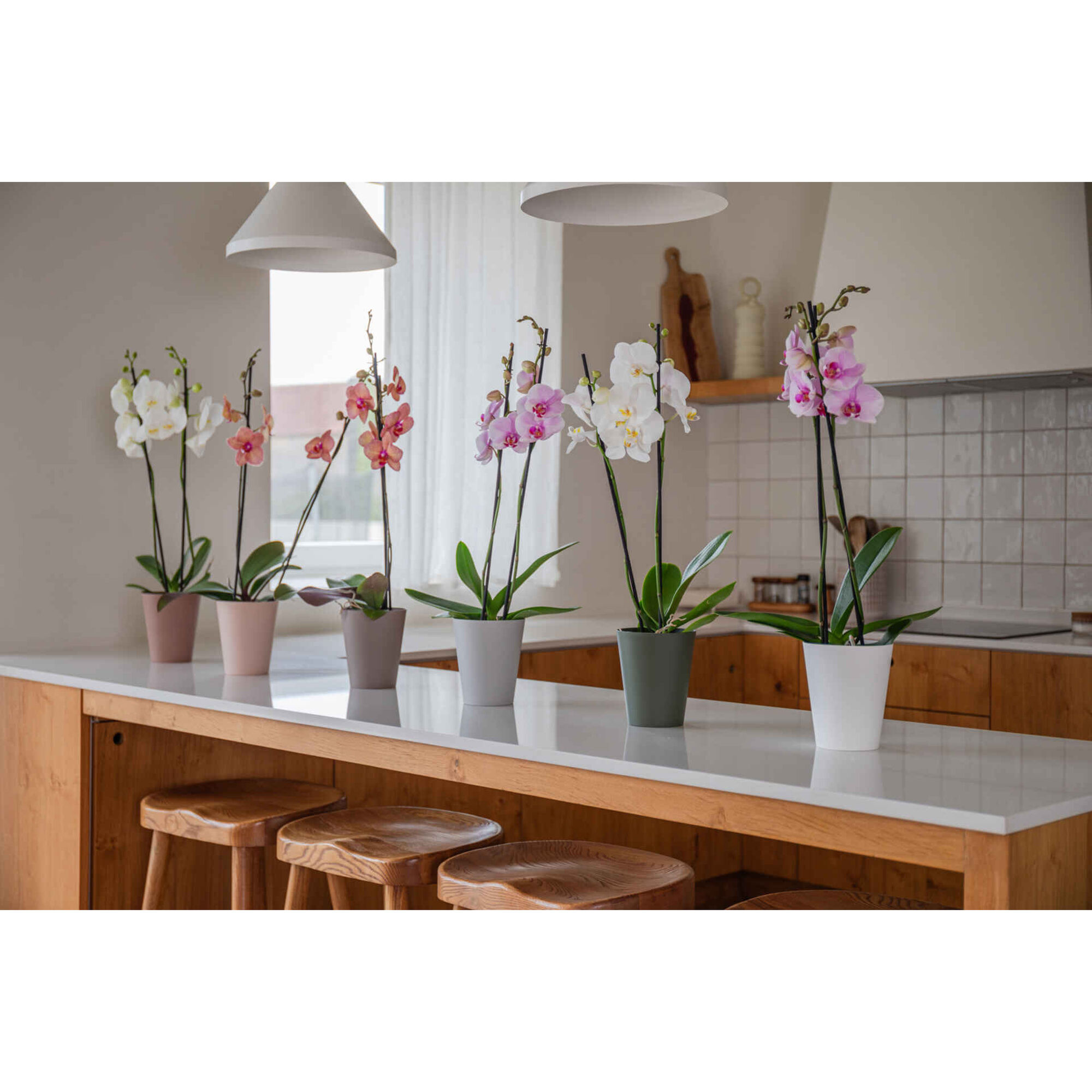 Vaso Redondo Plástico 12,5cm Branco