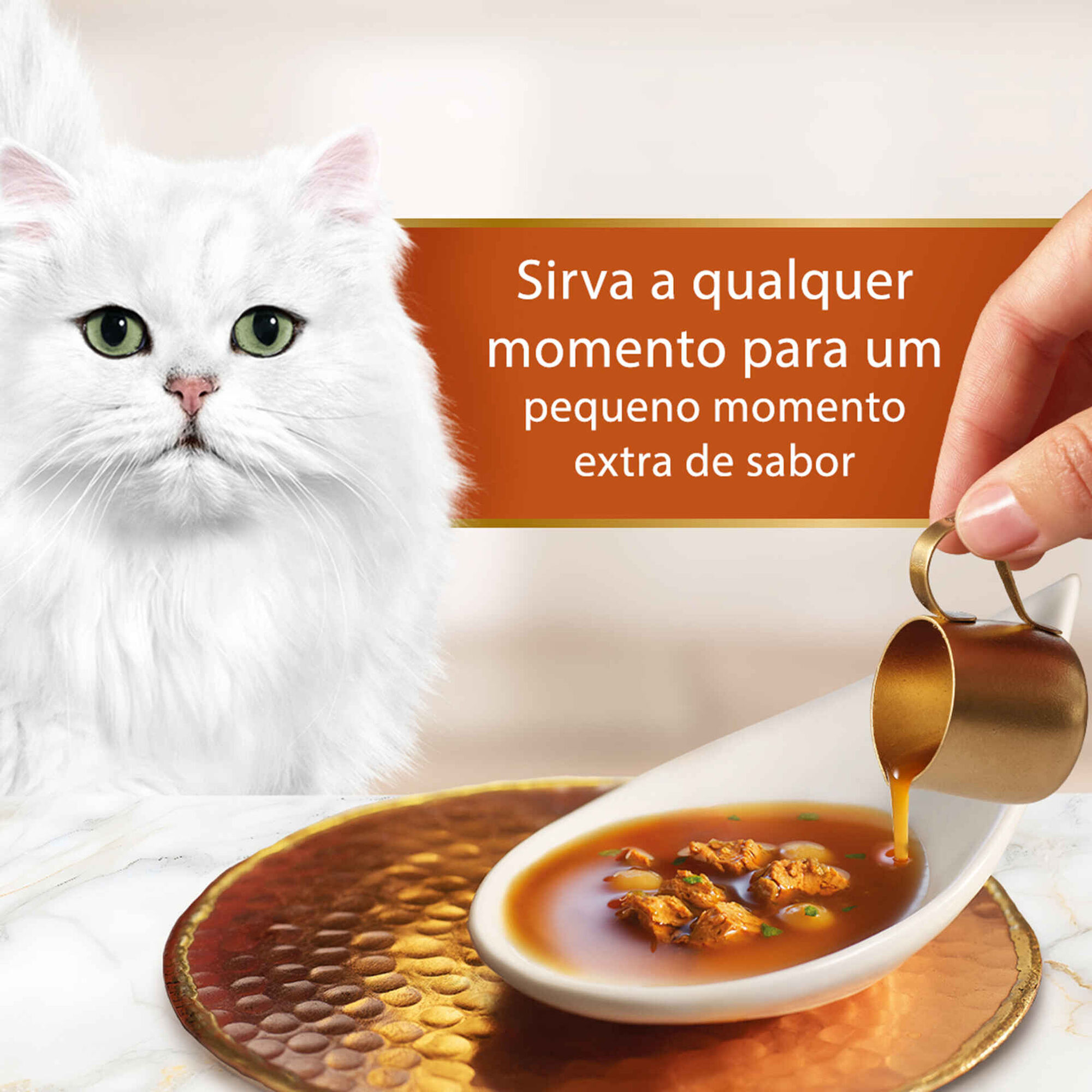 Snack L&iacute;quido para Gato Adulto Soup Royale Salm&atilde;o Purina Gourmet