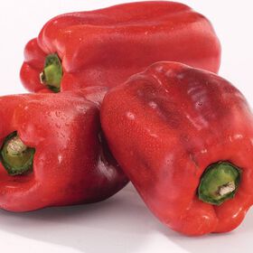 Pimento Vermelho Continente