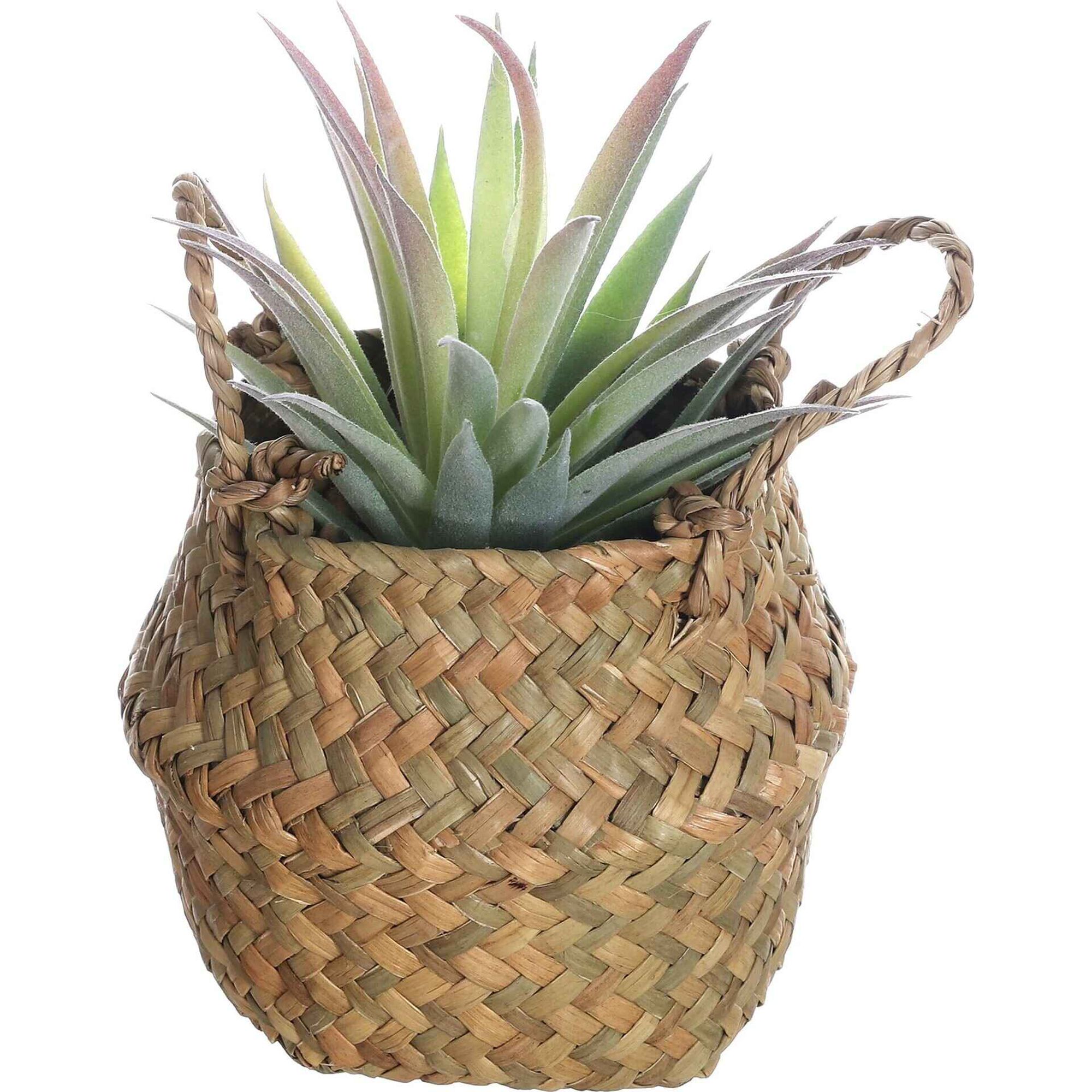 Planta Artificial Suculenta Aloe com Cesto com Asas