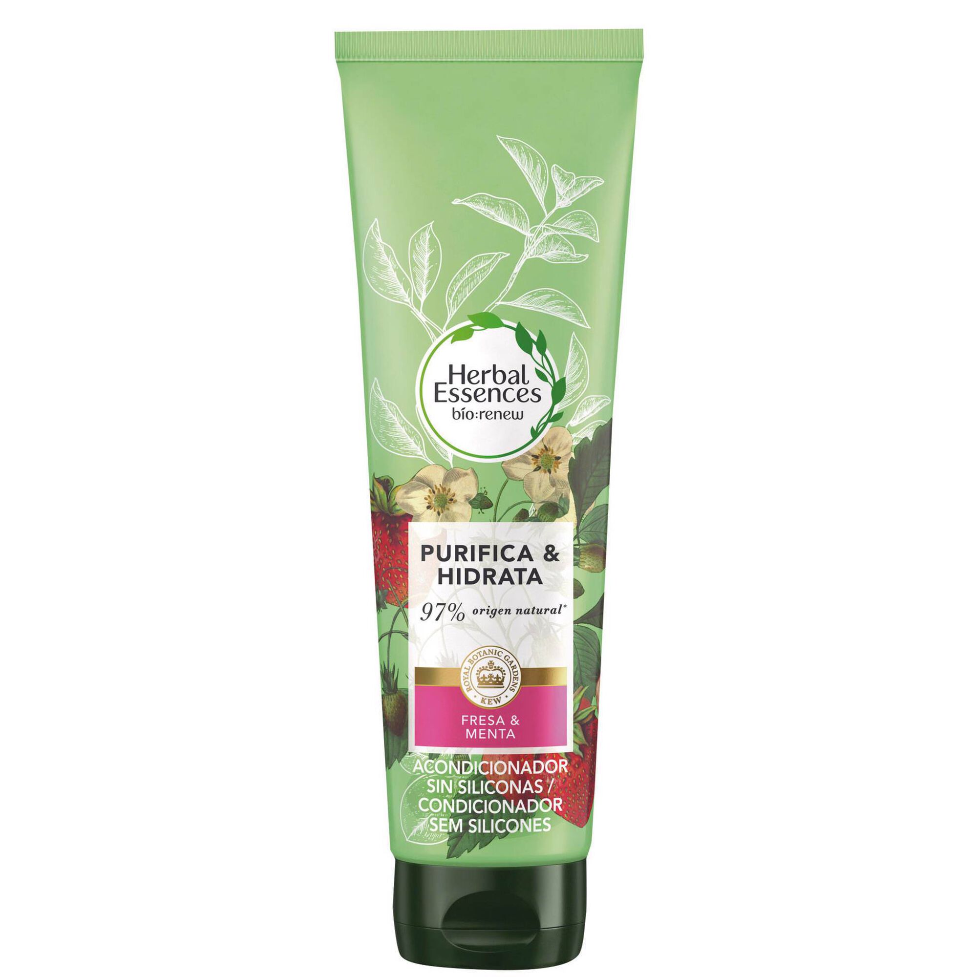 Condicionador Purifica e Hidrata Morango e Menta Condicionador Purifica e Hidrata Morango e Menta