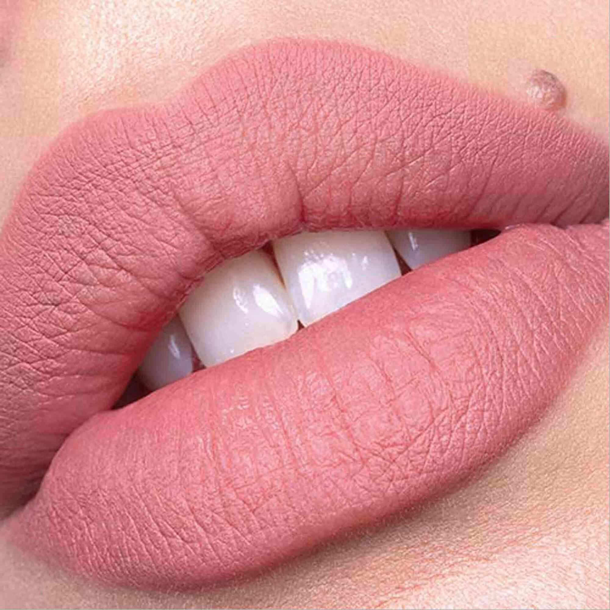 L&aacute;pis de L&aacute;bios Plumping 010 Understated Chic Catrice