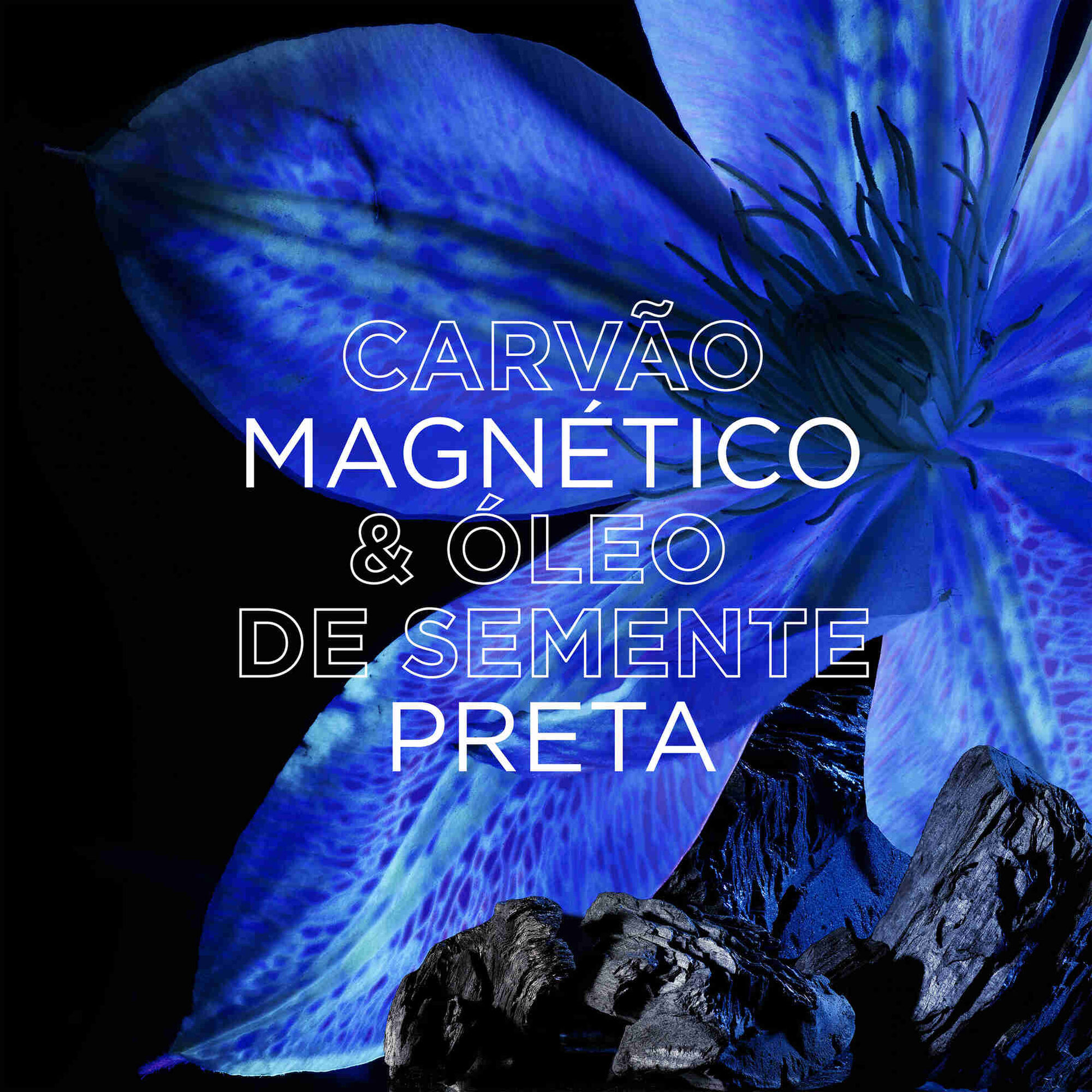 Champô Ultra Suave Carvão Champô Ultra Suave Carvão