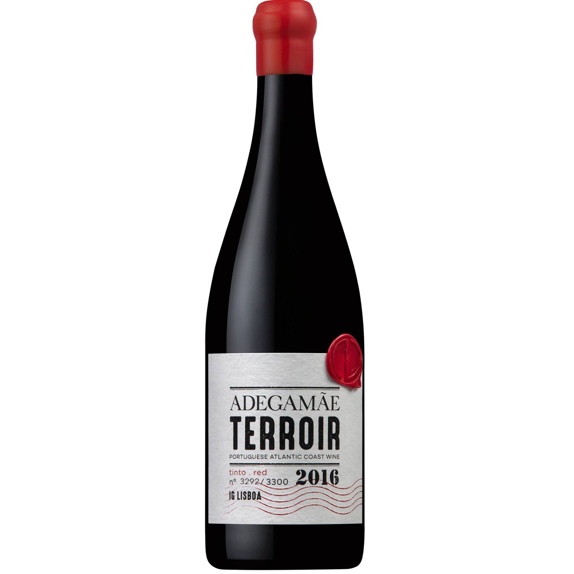 Adegam&atilde;e Terroir Lisboa Vinho Tinto