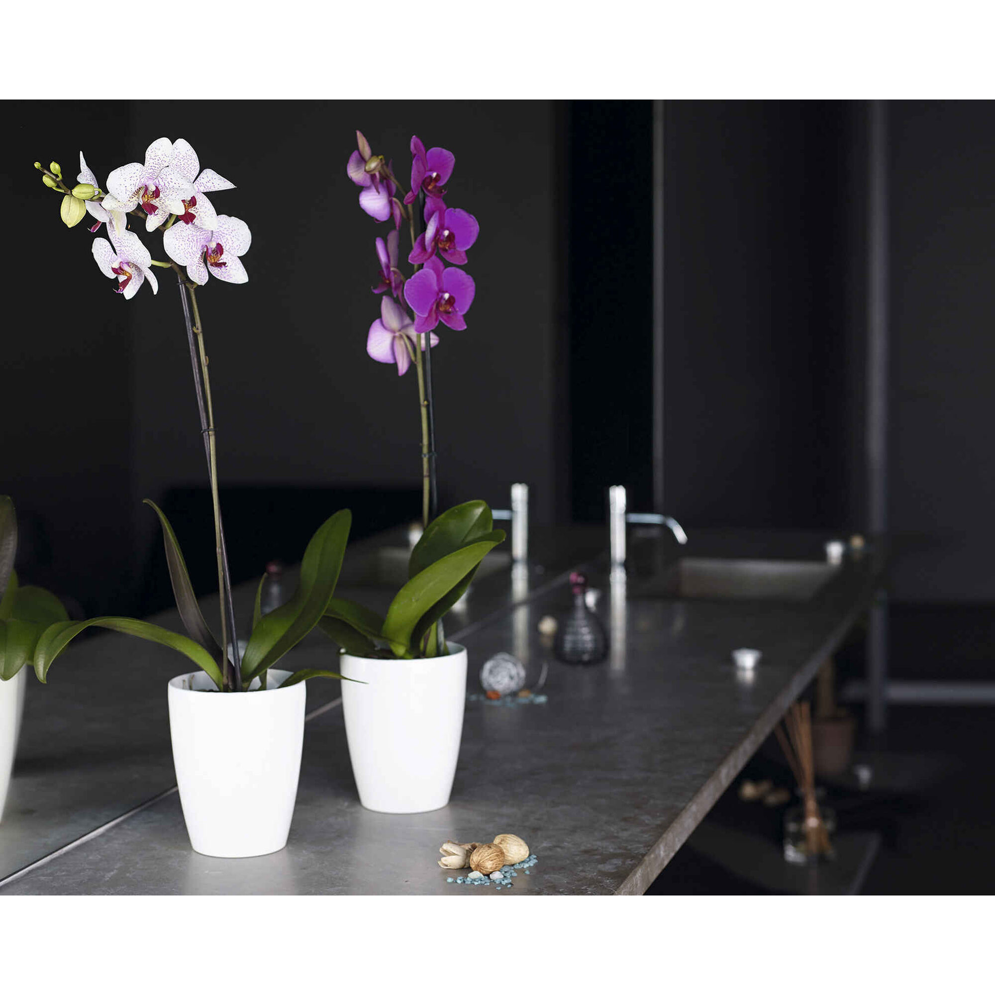 Vaso Redondo Plástico 15cm