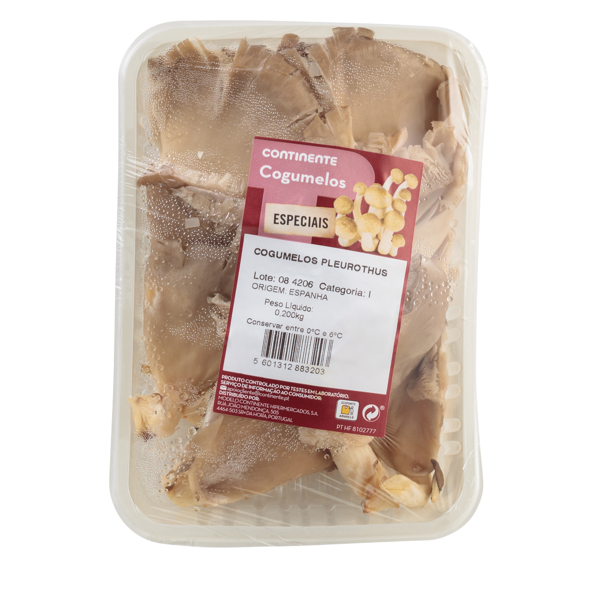 Cogumelo Pleurotus Fresco