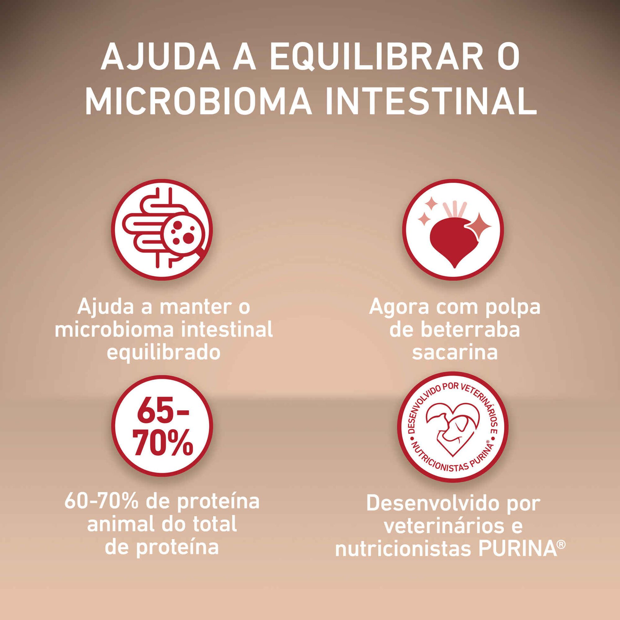 Ração para Cão Adulto Mini Delicate Salmão e Arroz