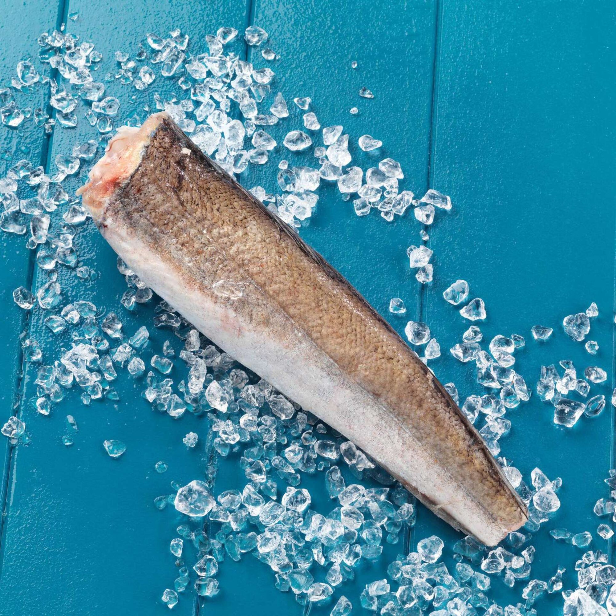 Pescada Média da Argentina Congelada