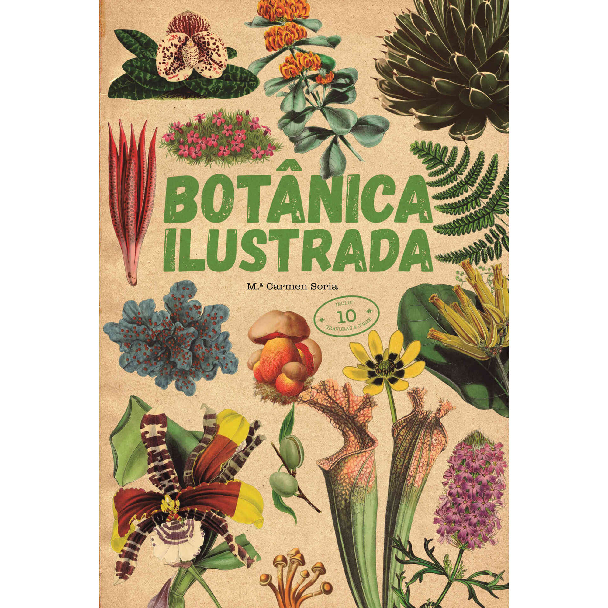 Botânica Ilustrada