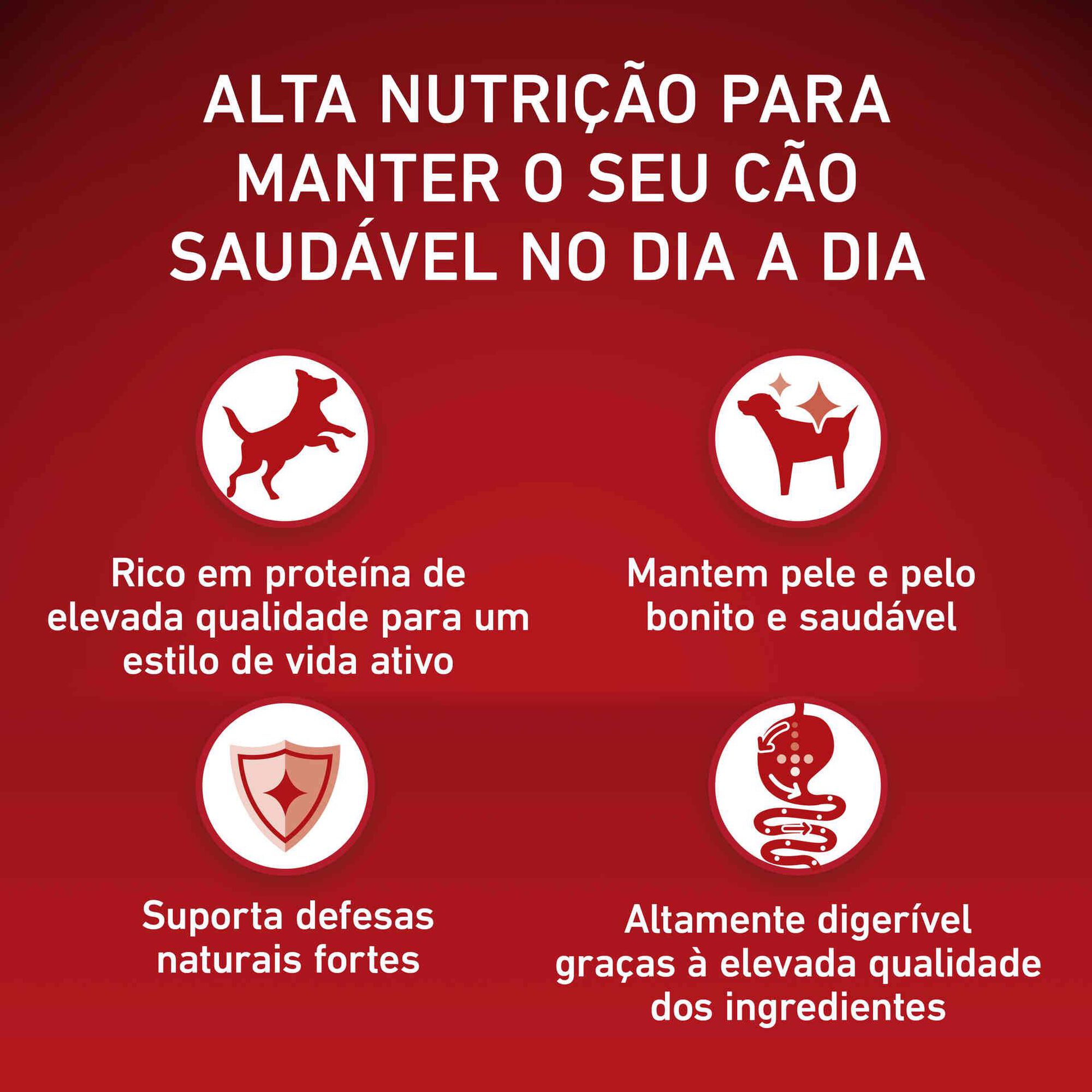 Ração para Cão Júnior Médio e Maxi Frango e Arroz