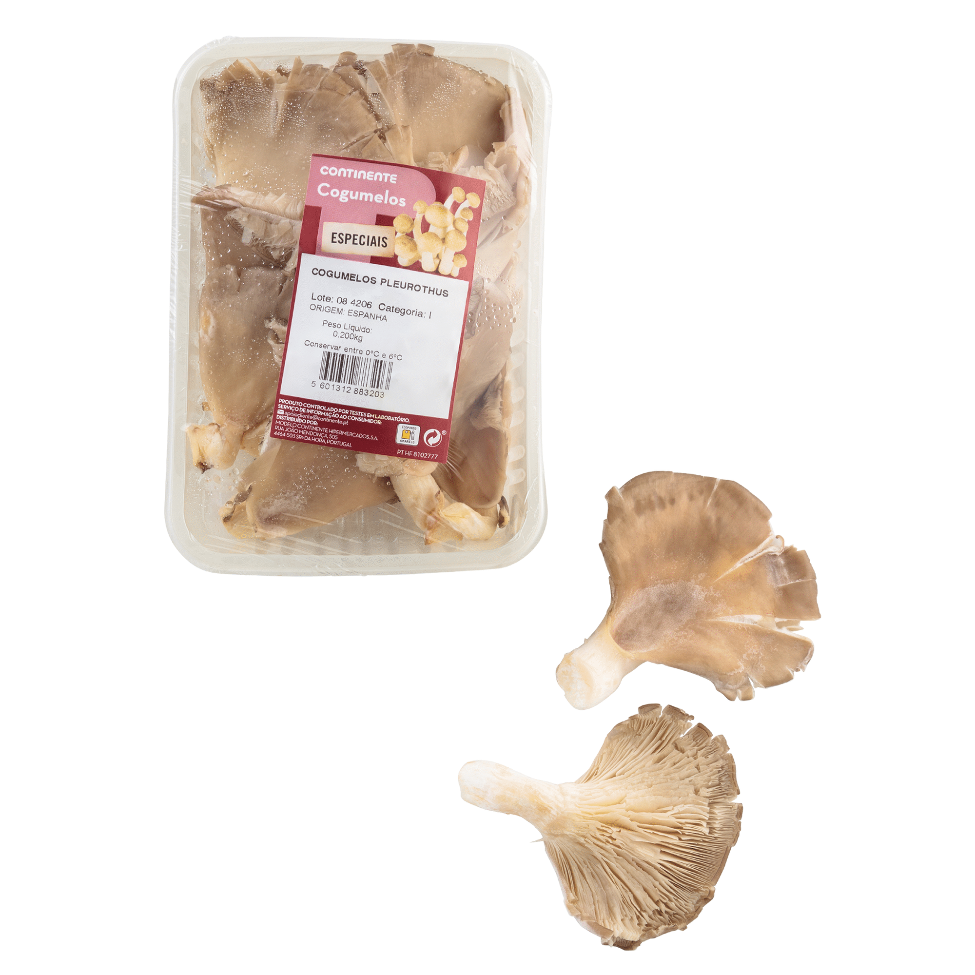 Cogumelo Pleurotus Fresco