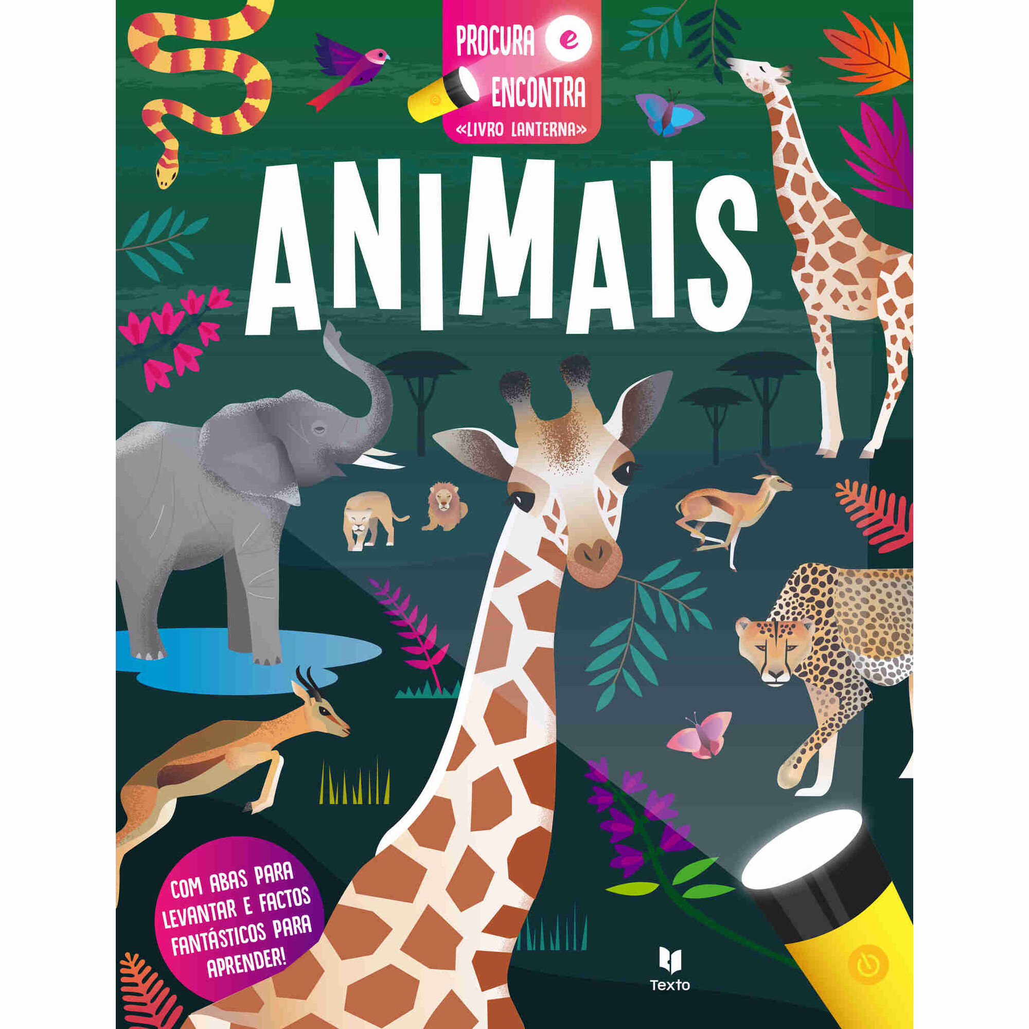 Procura e Encontra - Animais