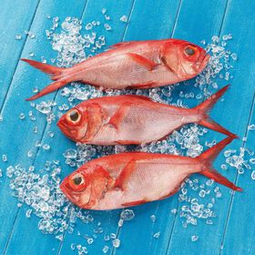 Salongo da Costa Fresco