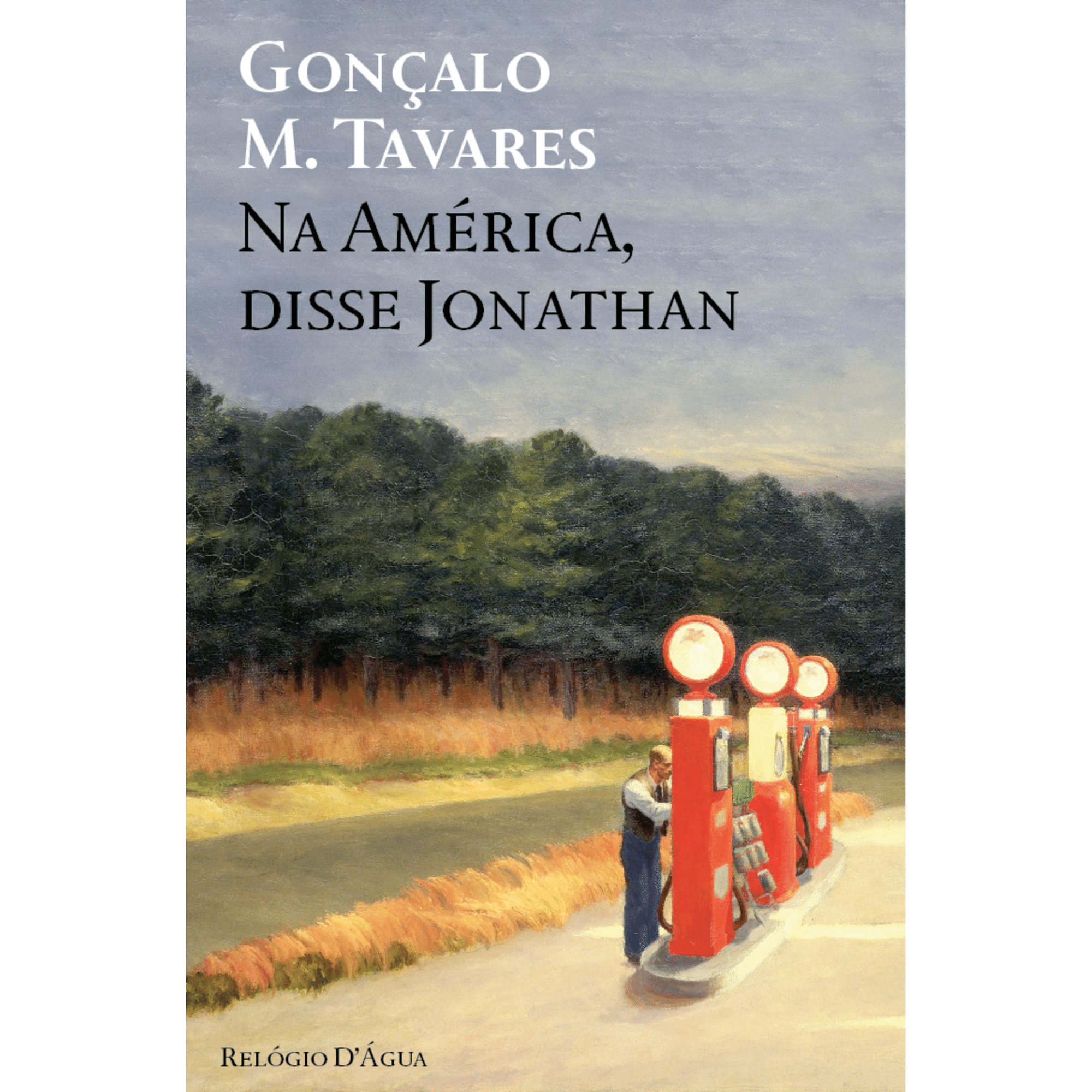 Na Am&eacute;rica, Disse Jonathan de Gon&ccedil;alo M. Tavares
