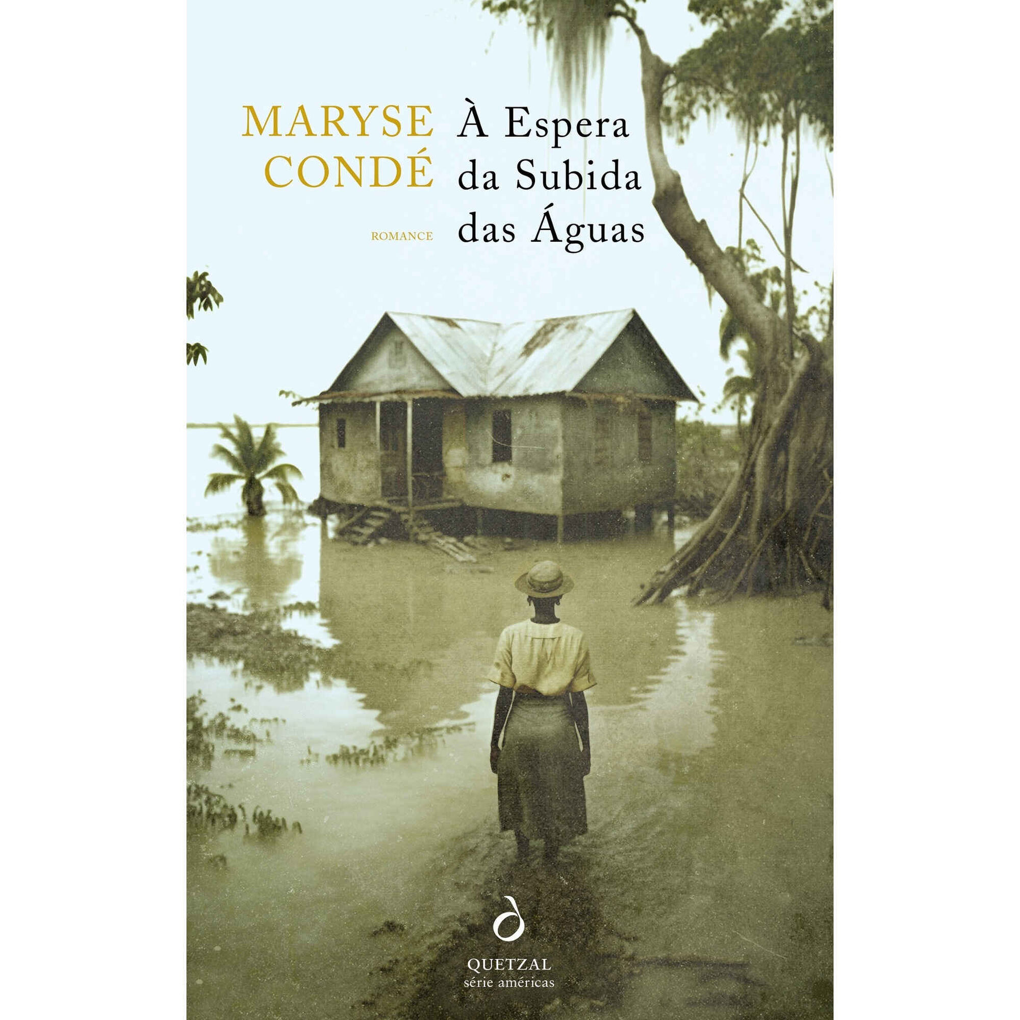 &Agrave; Espera da Subida das &Aacute;guas de Maryse Cond&eacute;