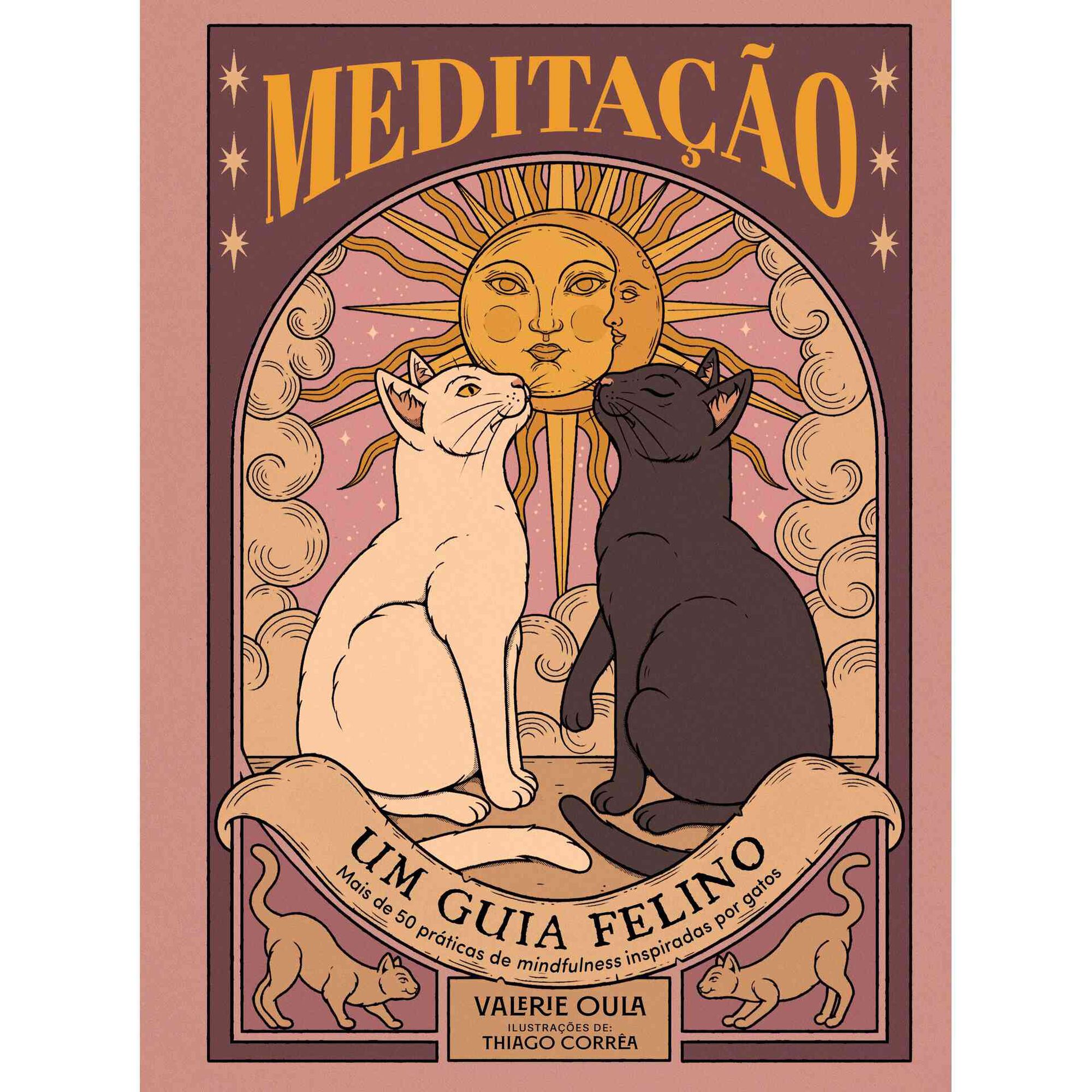 Medita&ccedil;&atilde;o - Um Guia Felino de Valerie Oula