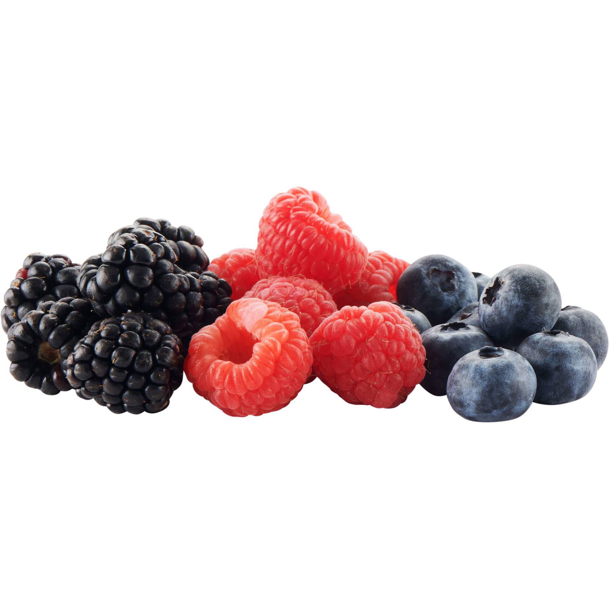 Mix Frutos do Bosque