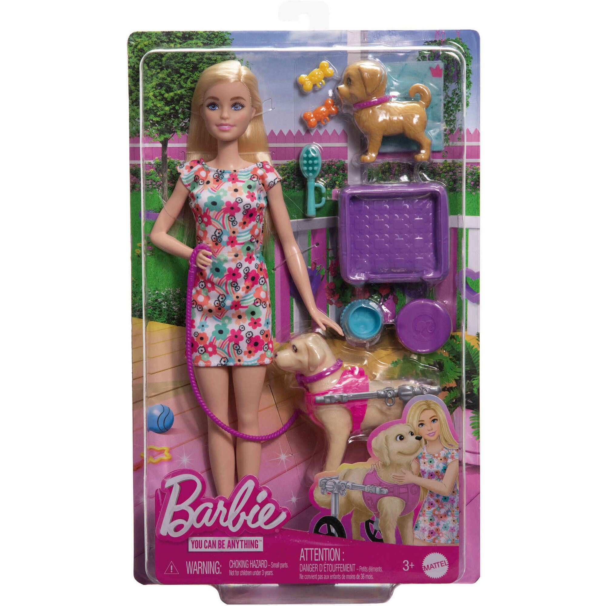Boneca Barbie Passeia o Cãozinho Doente