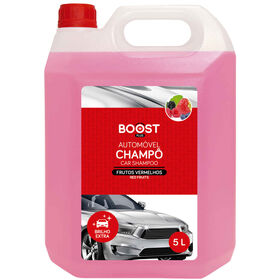Champ&ocirc; Auto Frutos Vermelhos Boost