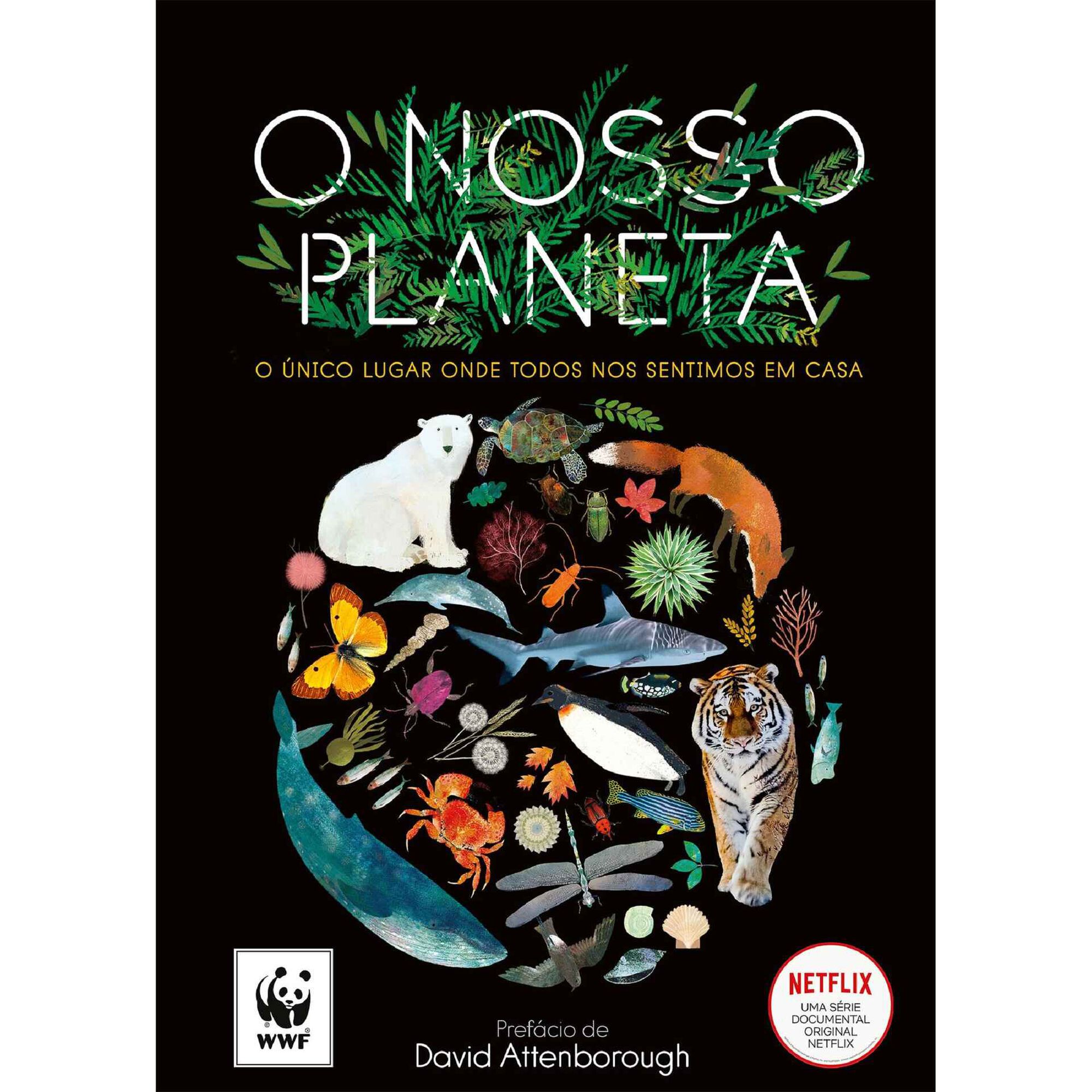 O Nosso Planeta O Nosso Planeta