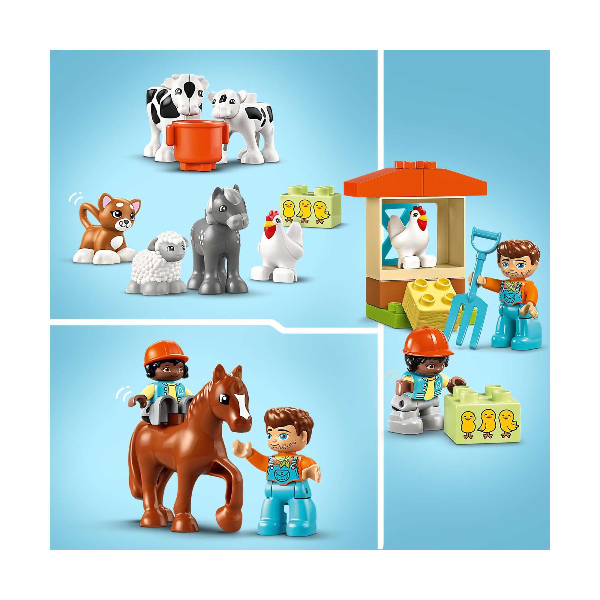 Cuidar dos Animais na Quinta - 10416