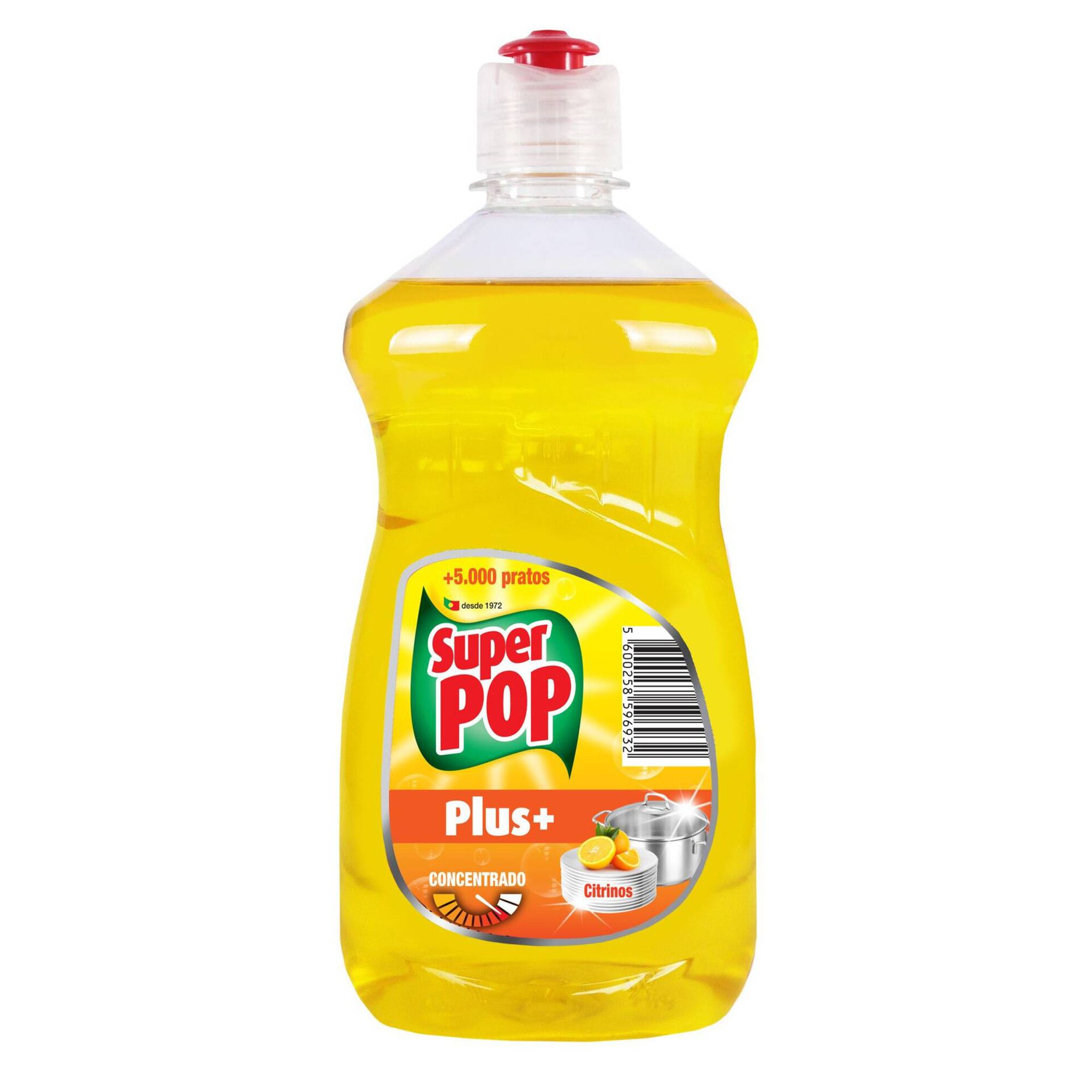 Detergente Manual Loiça Plus Citrinos