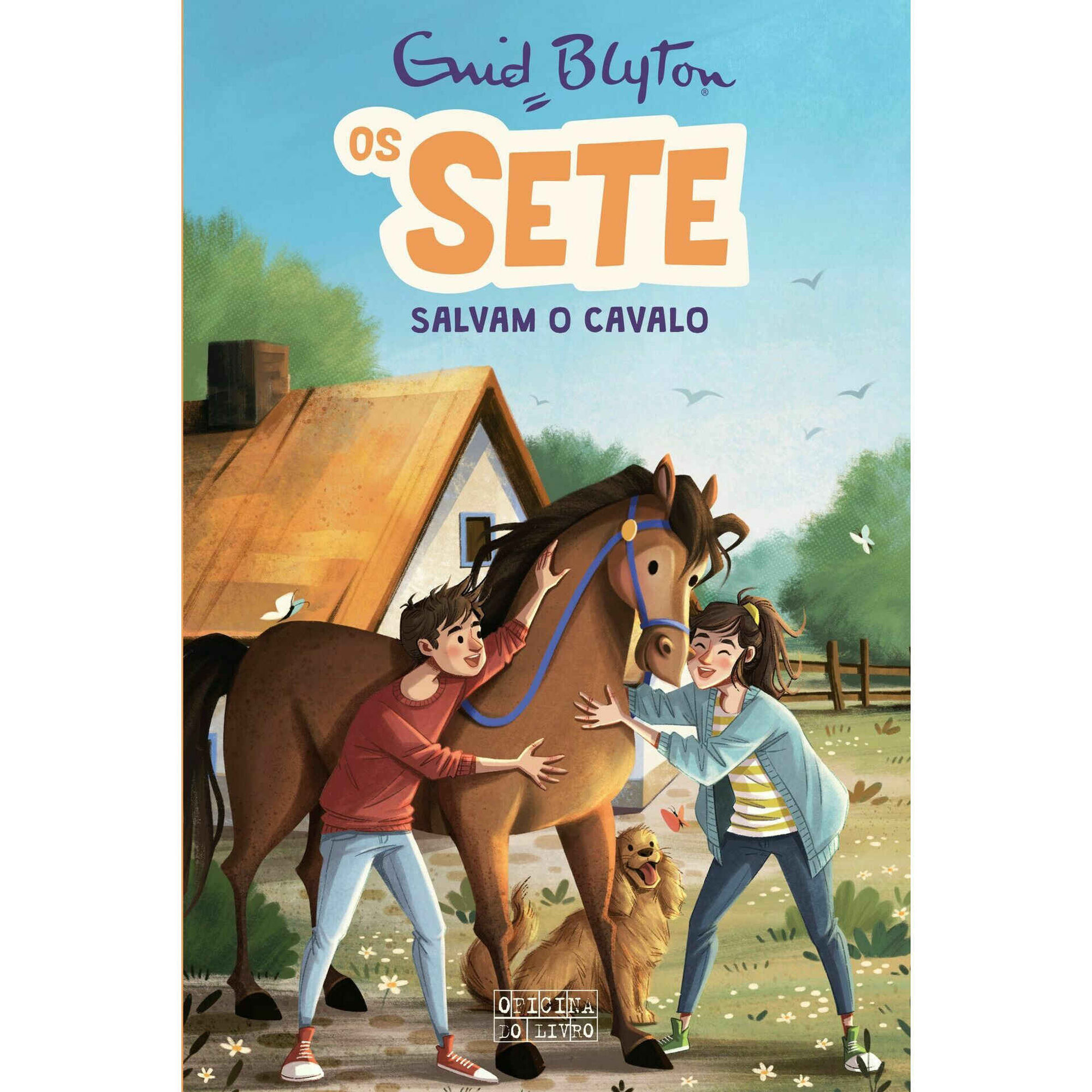 Os Sete Salvam o Cavalo Nº 15