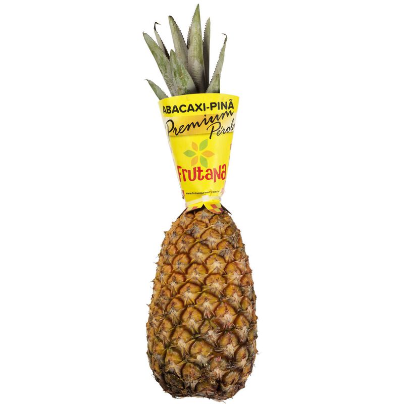 Abacaxi Pérola Continente