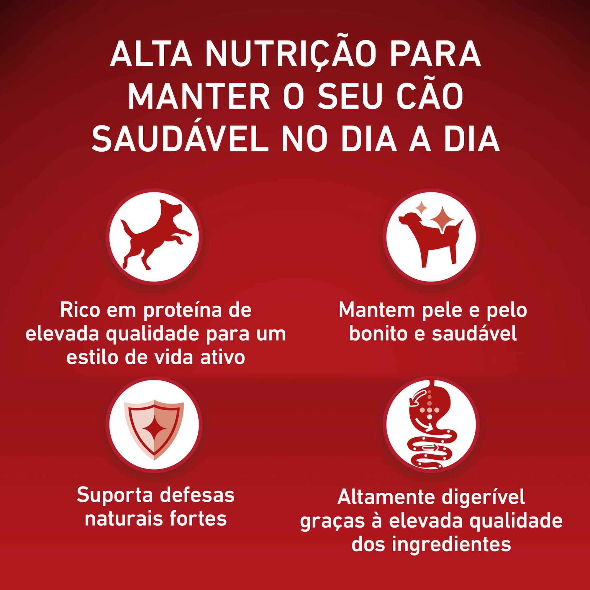 Ração para Cão Júnior Mini Frango e Arroz