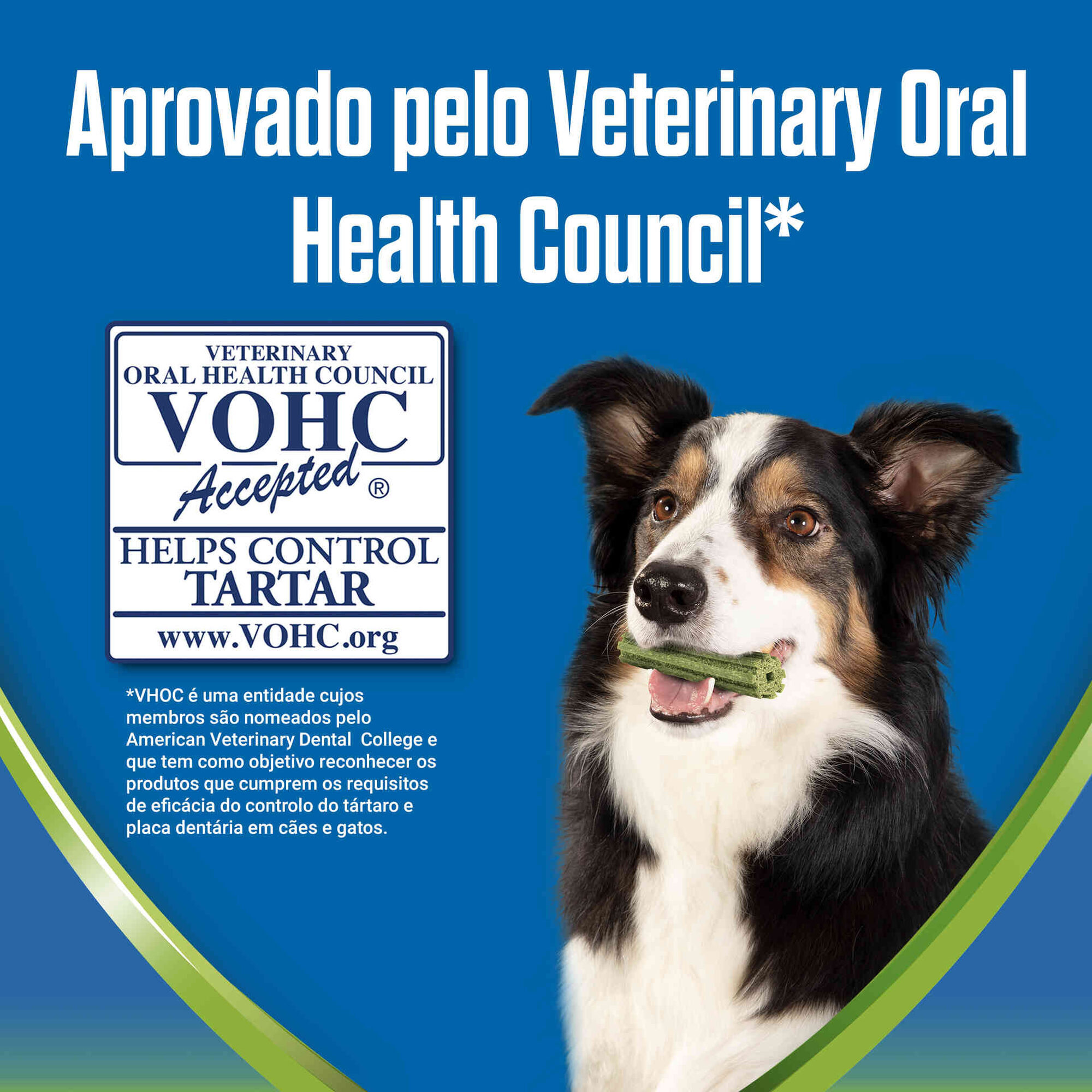 Snack para Cão Médio Activefresh