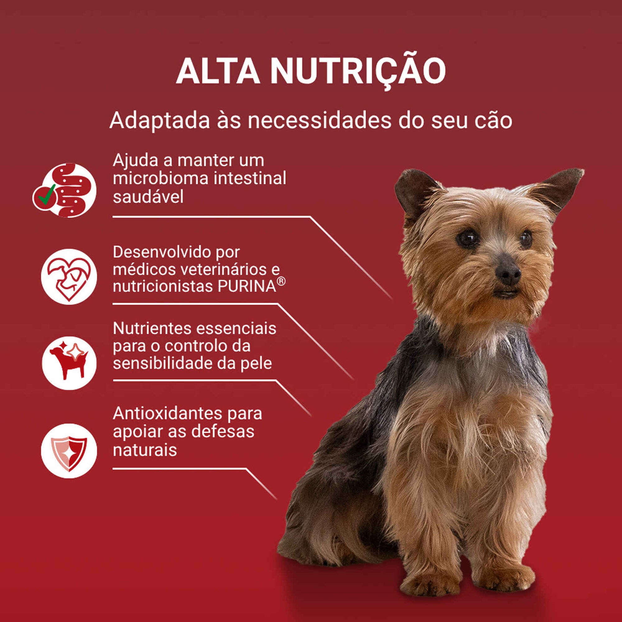 Comida H&uacute;mida para C&atilde;o Mini Delicate Salm&atilde;o Purina One Mini