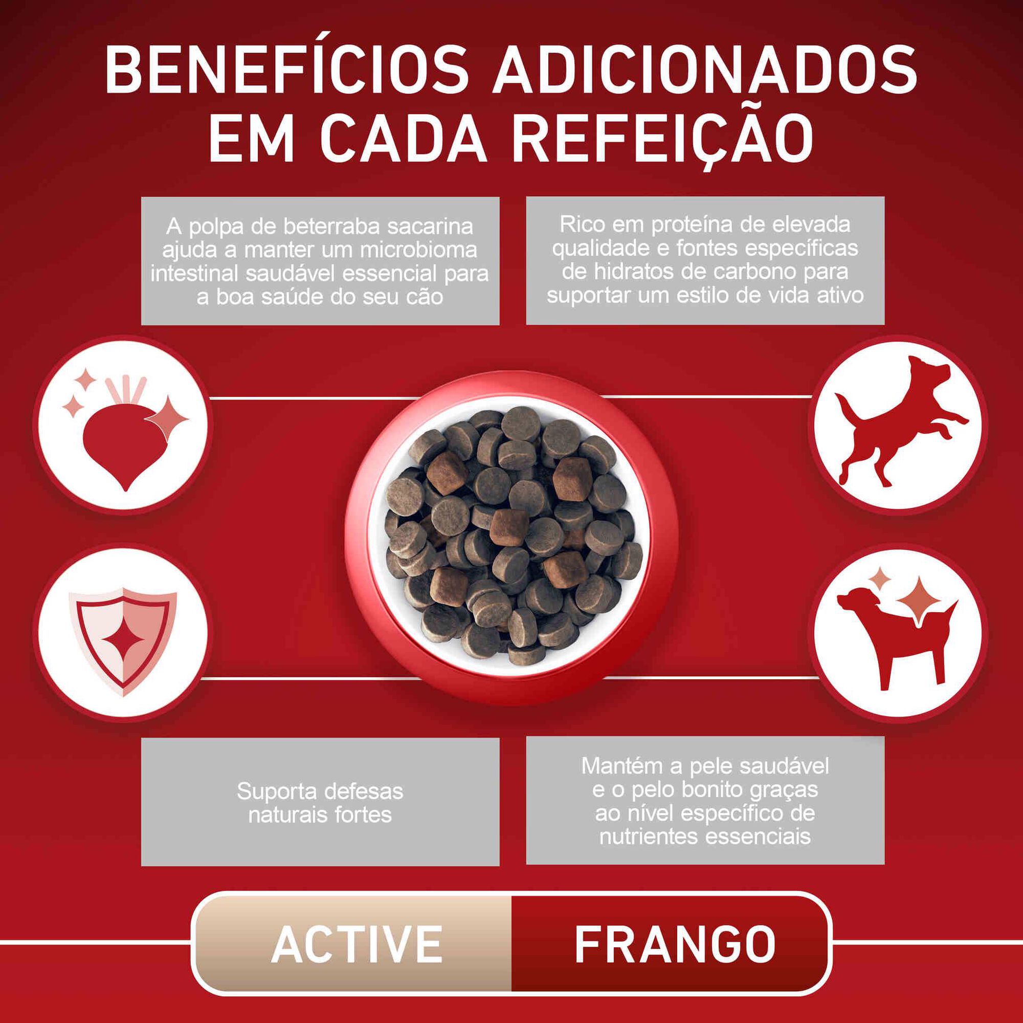 Ração para Cão Adulto Mini Active Frango e Arroz