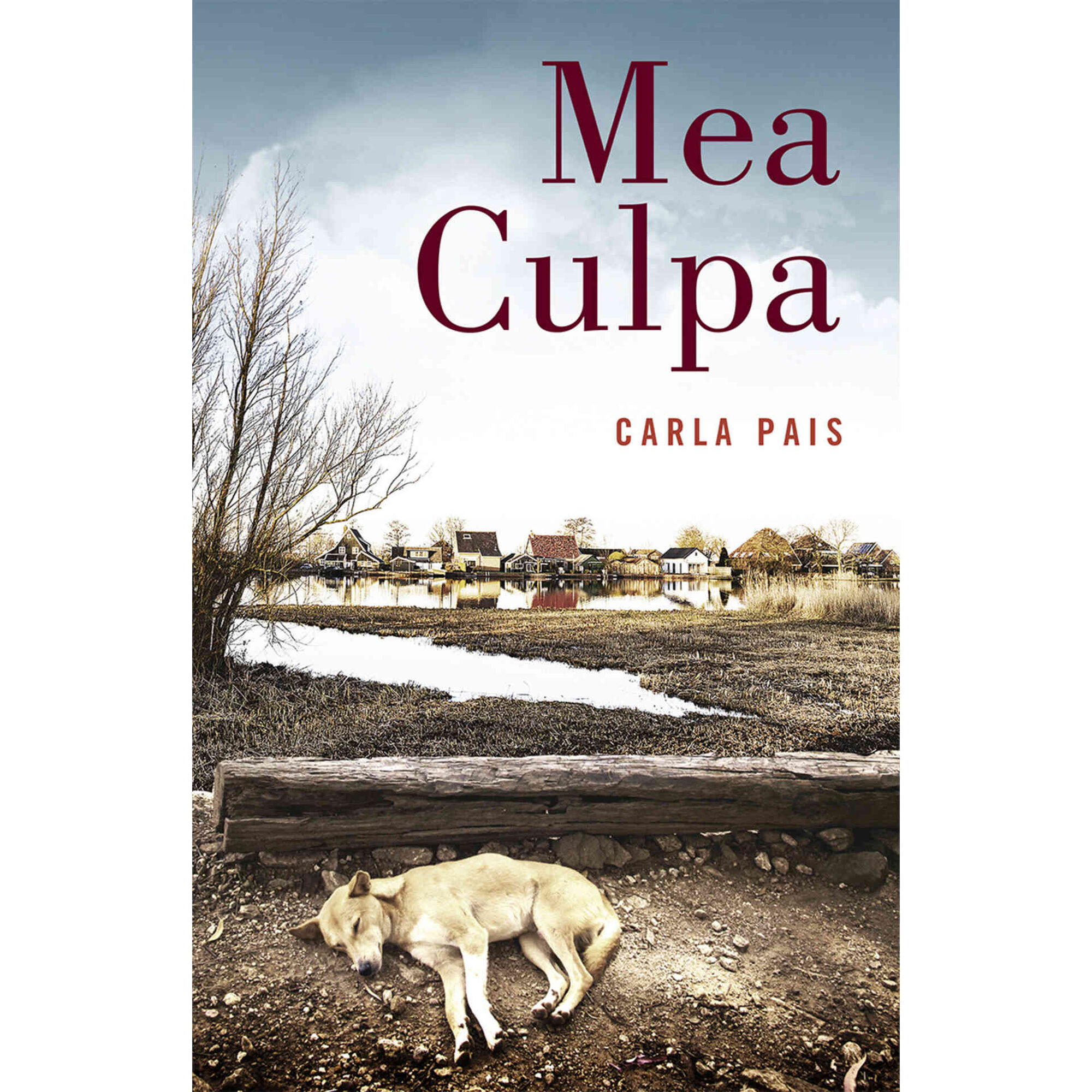 Mea Culpa de Carla Pais