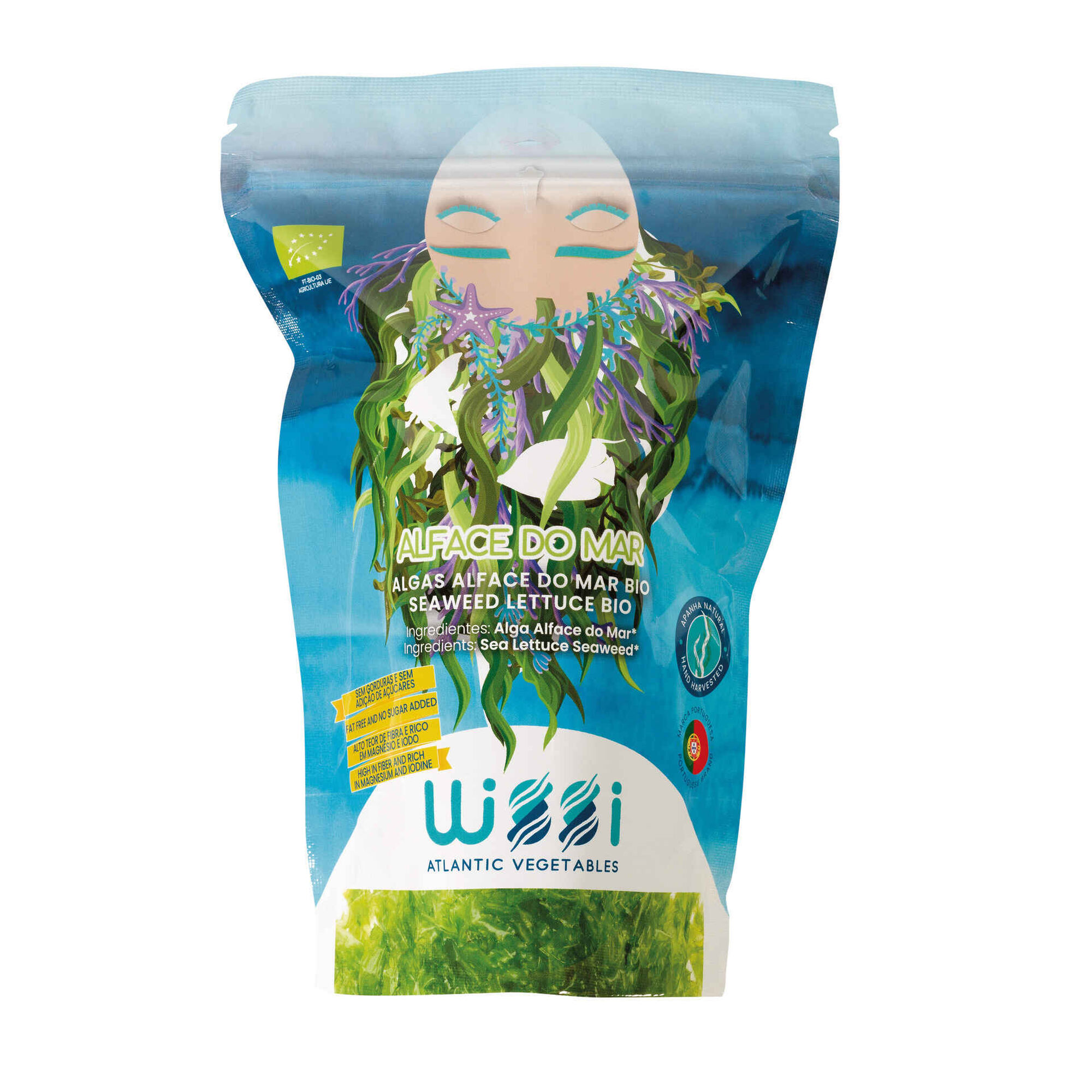Algas Alface do Mar Biológicas