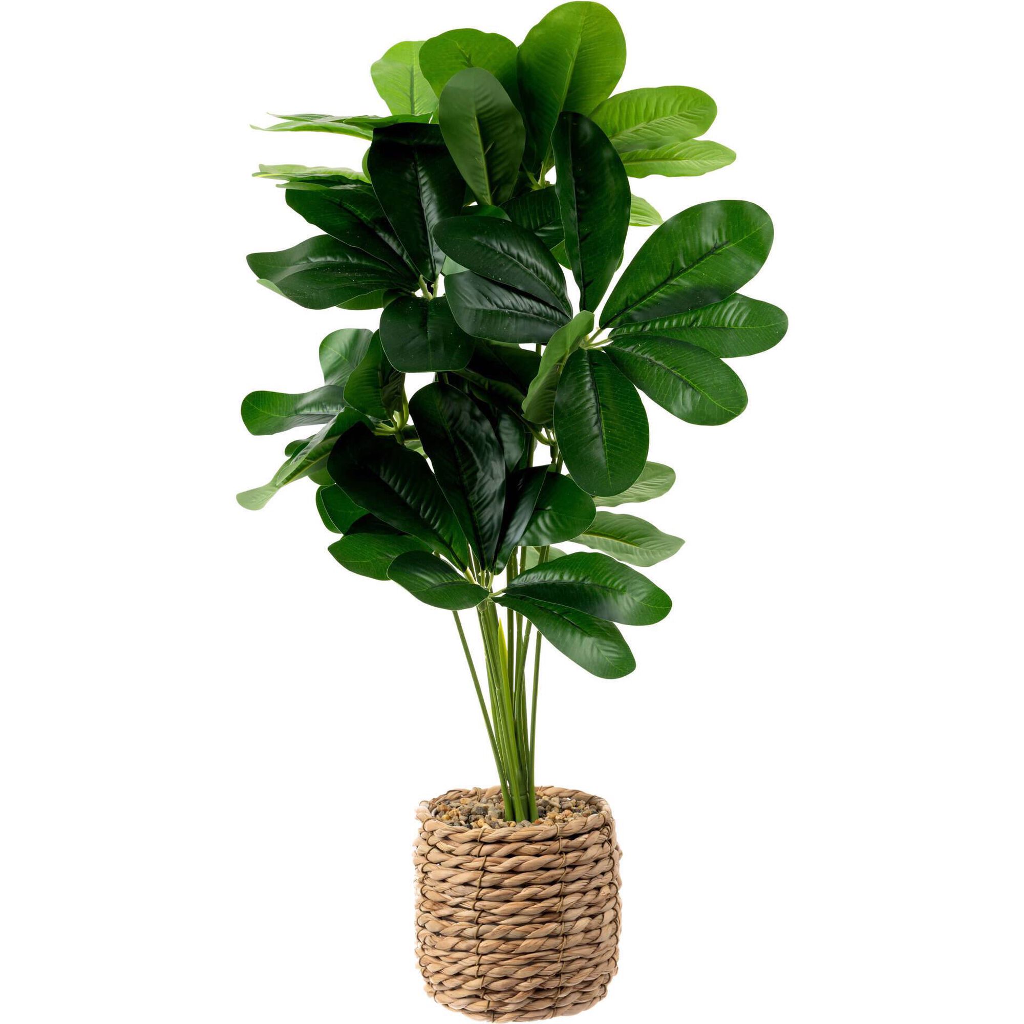 Vaso Seagrass com Planta Artificial