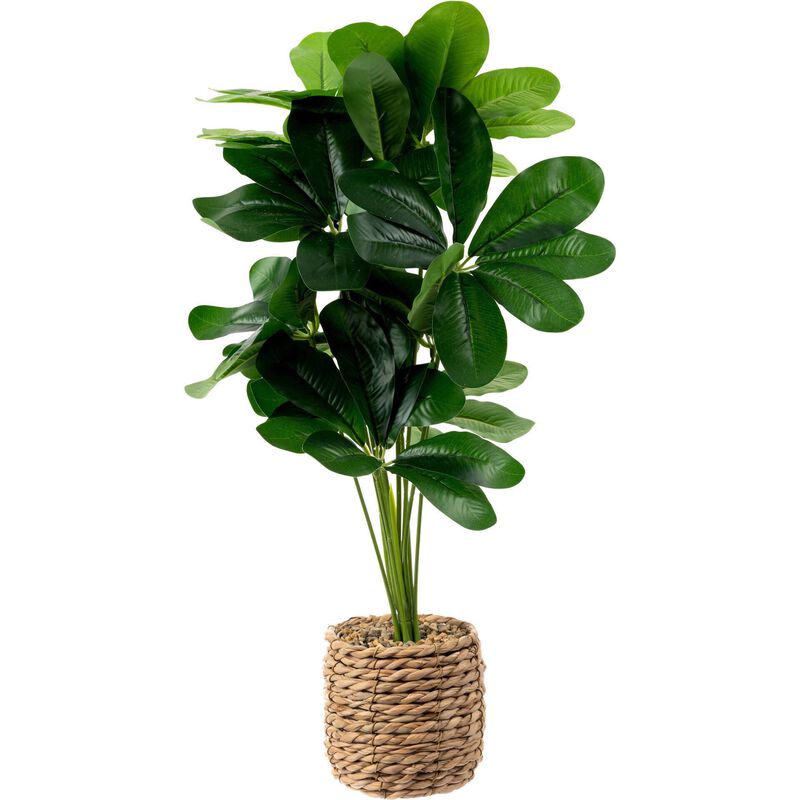 Vaso Seagrass com Planta Artificial Kasa