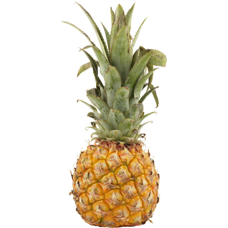 Ananás Baby Continente