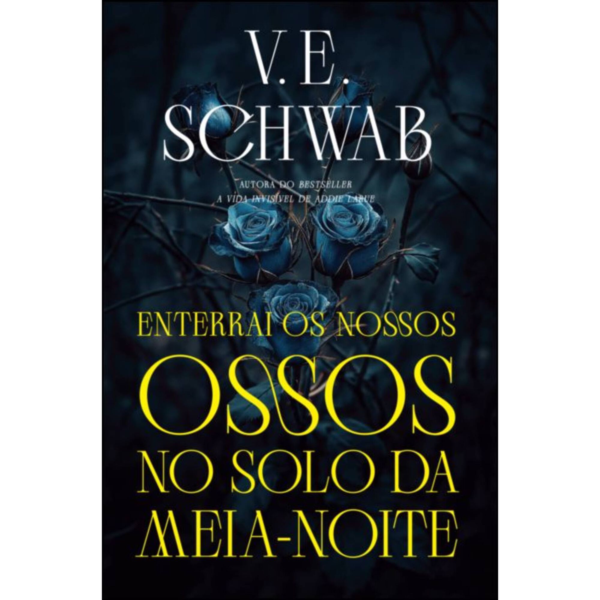 Enterrai os Nossos Ossos no Solo da Meia-Noite de V. E. Schwab