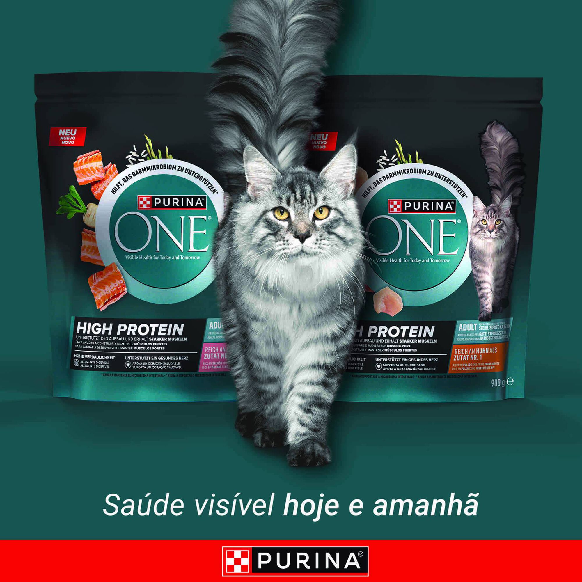 Ra&ccedil;&atilde;o para Gato Adulto High Protein Salm&atilde;o Purina One