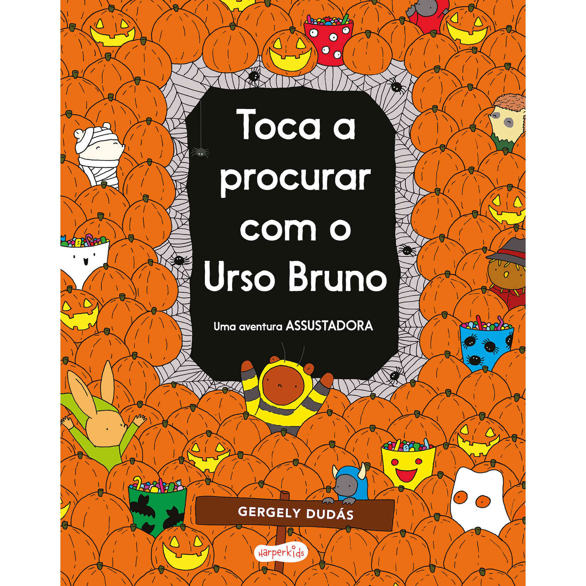 Toca a Procurar com o Urso Bruno