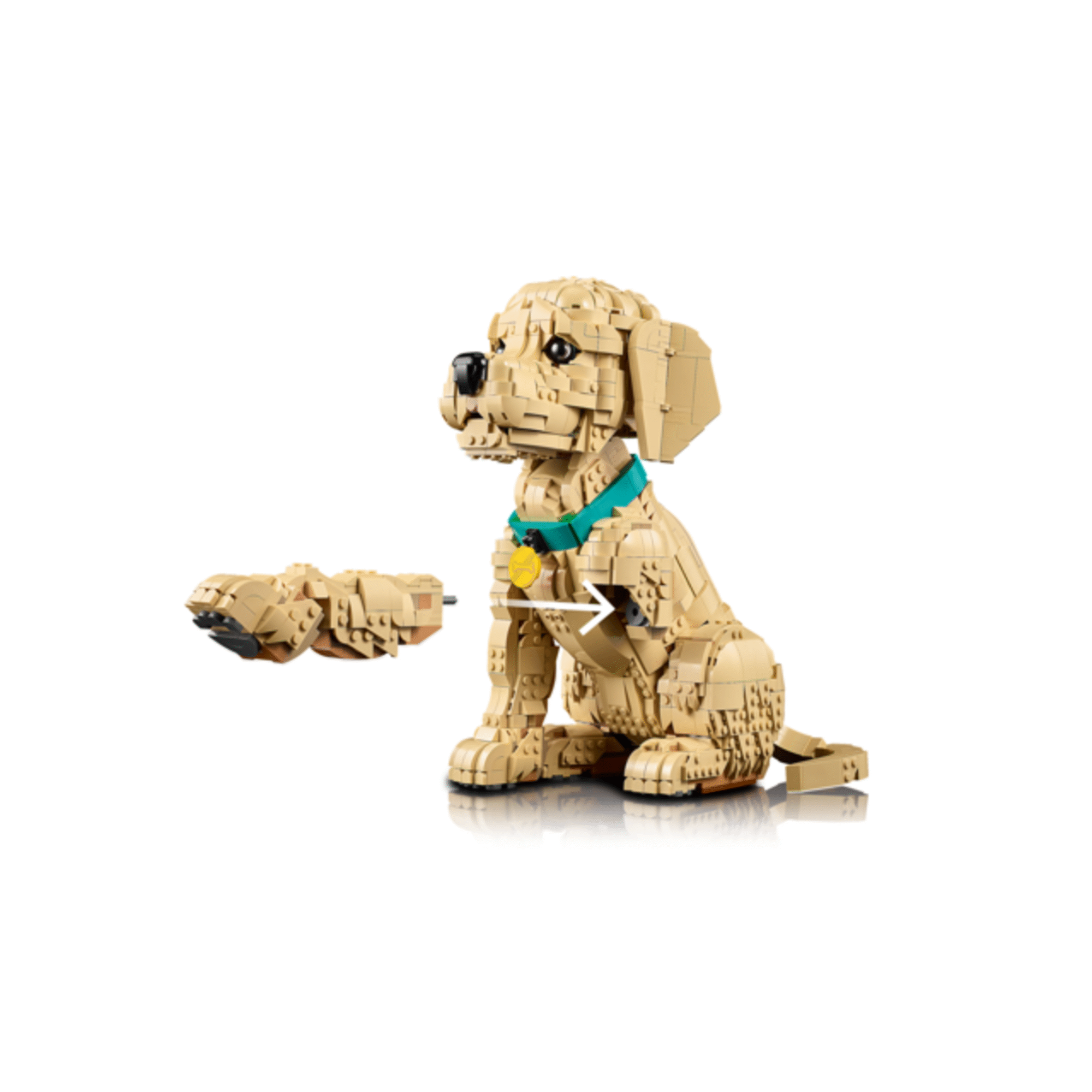 LEGO Icons - Cachorrinho Golden Retriever - 11384