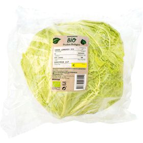 Couve Lombarda Biológica Couve Lombarda Biológica