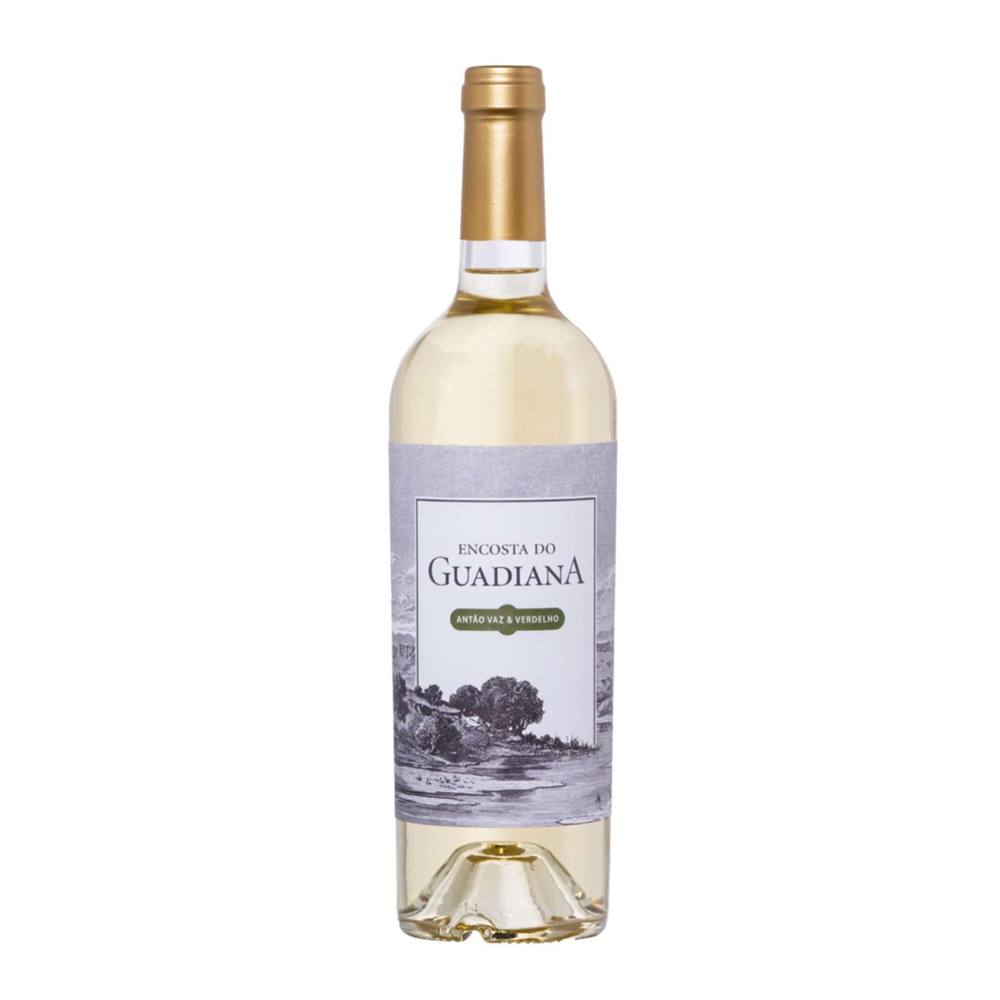 Encosta Do Guadiana Colheita Selecionada Alentejano Vinho Branco