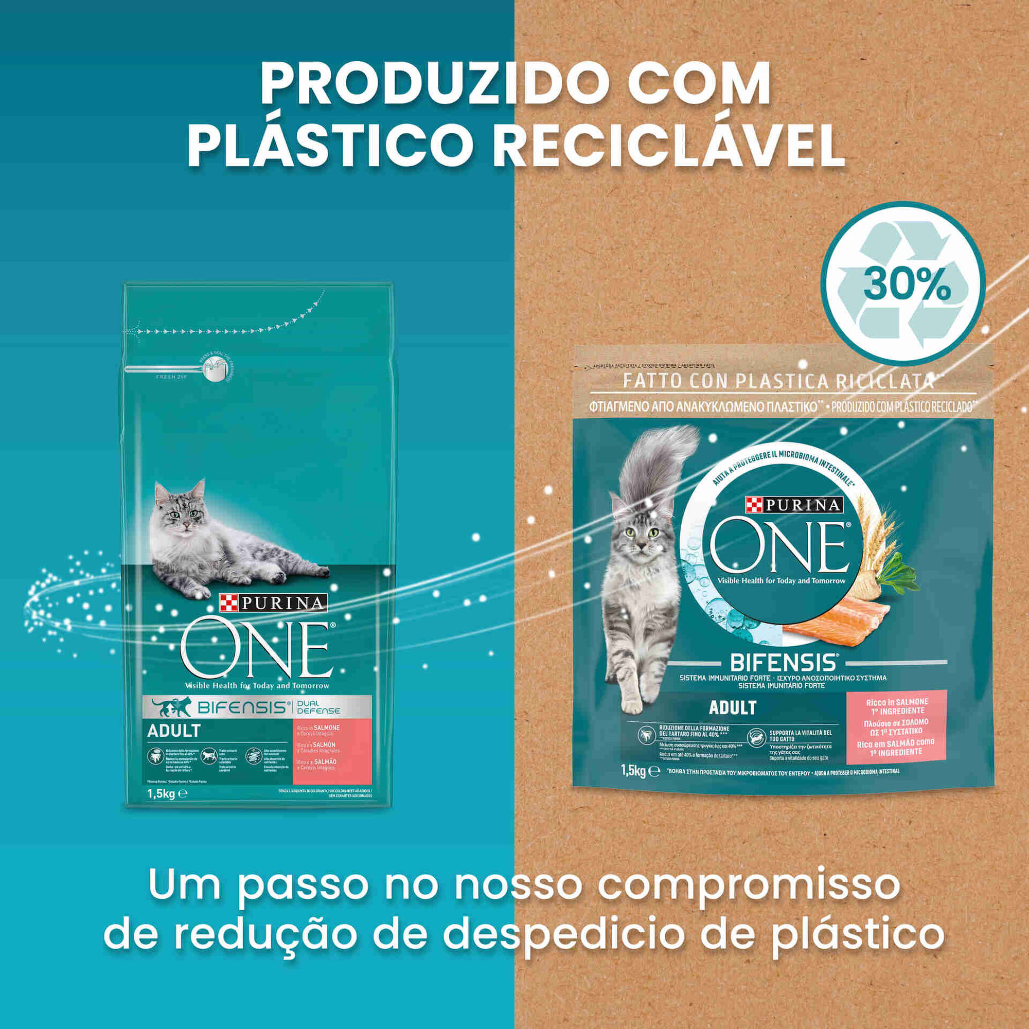 Ração para Gato Adulto Salmão