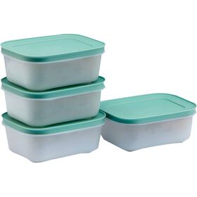 Conjunto 4 Recipientes para Congelador Tupperware
