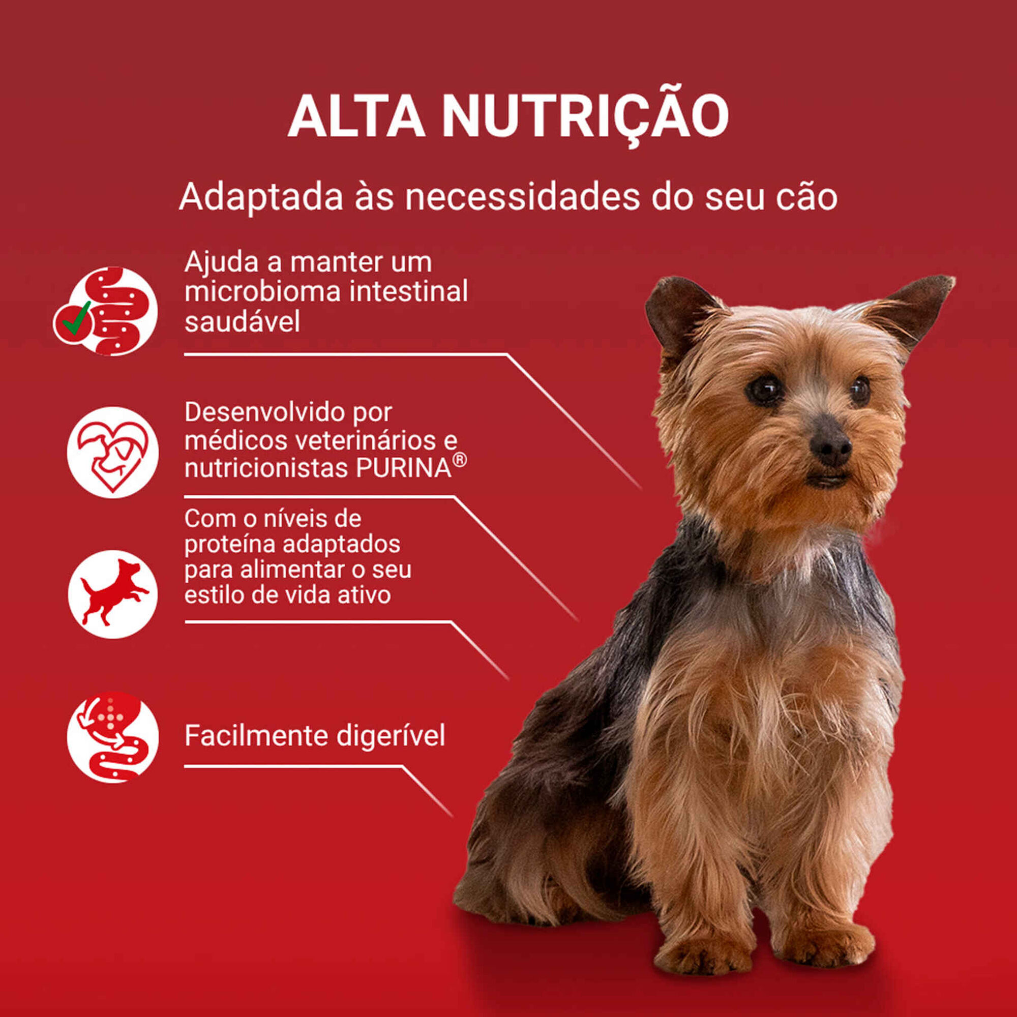 Comida H&uacute;mida para C&atilde;o Adulto Active Vaca Purina One Mini