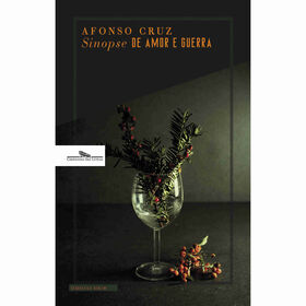 Sinopse de Amor e Guerra de Afonso Cruz