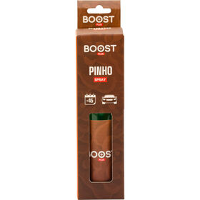 Ambientador Spray 75ml Pinho Boost