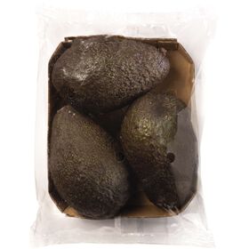 Abacate Hass Resíduo Zero