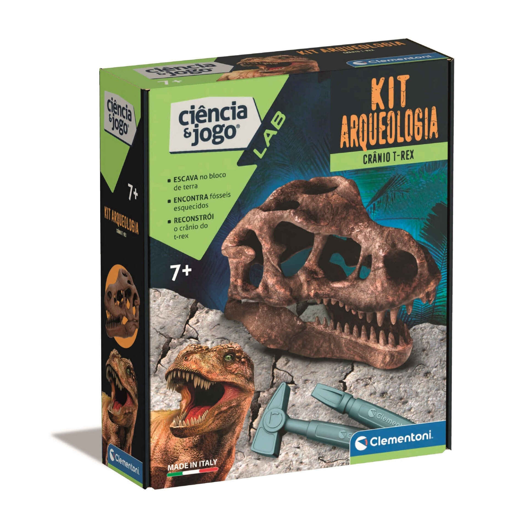 Kit Arqueologia - Crânio T-Rex